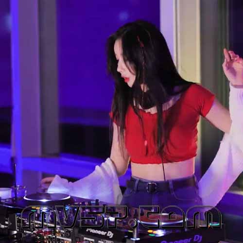 DJ晨仔 - 国粤语Electro音乐特别的歌失恋王不要再说永远串烧 (MIX)