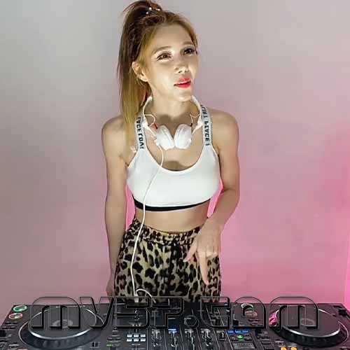 Dj维少Vs敏吻潴-全国语Disco风格Dj庭锋作品第110张串烧