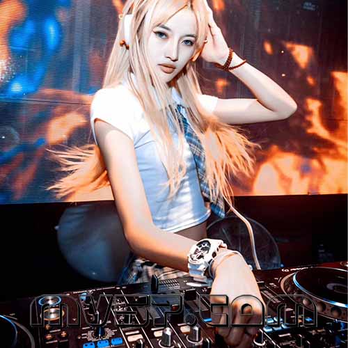 Zyboy忠宇 - 妈妈的话(Dj凉小标 Electro Rmx 2023)