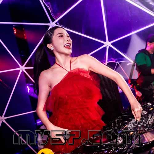 托洞Dj华仔-国粤语Club音乐大风吹抖音流行专辑串烧